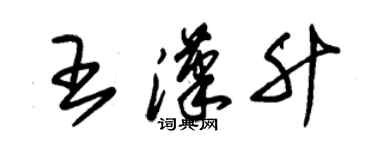 朱錫榮王漢升草書個性簽名怎么寫