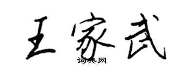 王正良王家武行書個性簽名怎么寫