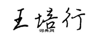 王正良王培行行書個性簽名怎么寫
