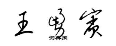 梁錦英王勇賓草書個性簽名怎么寫