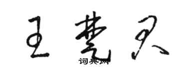 駱恆光王楚君草書個性簽名怎么寫