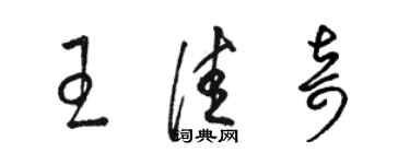 駱恆光王佳奇草書個性簽名怎么寫