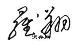 駱恆光羅翔草書個性簽名怎么寫