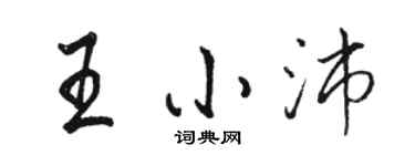 駱恆光王小沛行書個性簽名怎么寫