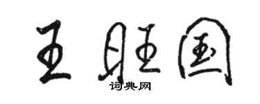 駱恆光王旺國行書個性簽名怎么寫