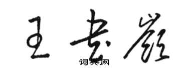 駱恆光王書嶺草書個性簽名怎么寫
