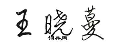 駱恆光王曉蔓行書個性簽名怎么寫