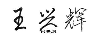 駱恆光王興輝行書個性簽名怎么寫