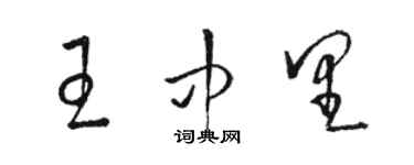 駱恆光王中里草書個性簽名怎么寫