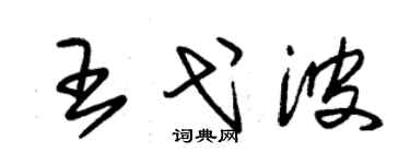 朱錫榮王弋波草書個性簽名怎么寫