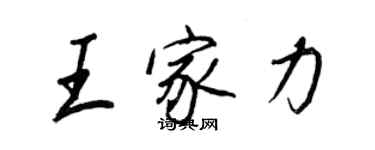 王正良王家力行書個性簽名怎么寫