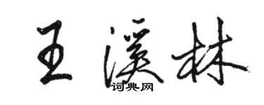 駱恆光王溪林行書個性簽名怎么寫