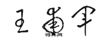 駱恆光王甫軍草書個性簽名怎么寫