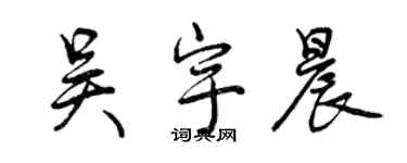 曾慶福吳宇晨行書個性簽名怎么寫