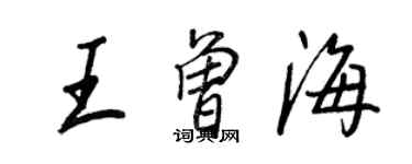 王正良王曾海行書個性簽名怎么寫