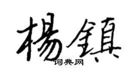 王正良楊鎮行書個性簽名怎么寫