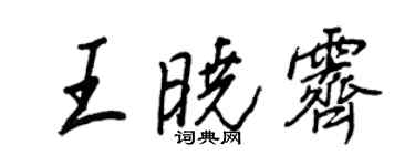 王正良王曉霽行書個性簽名怎么寫