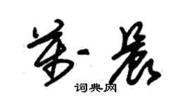 朱錫榮萬晨草書個性簽名怎么寫