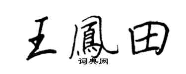 王正良王鳳田行書個性簽名怎么寫
