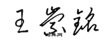 駱恆光王崇銘草書個性簽名怎么寫