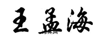 胡問遂王孟海行書個性簽名怎么寫