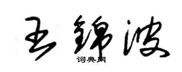 朱錫榮王錦波草書個性簽名怎么寫