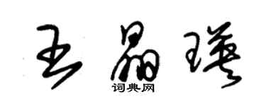 朱錫榮王晶瑛草書個性簽名怎么寫