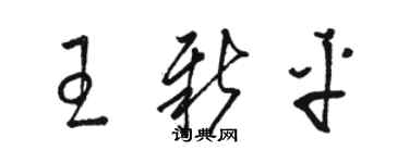 駱恆光王新平草書個性簽名怎么寫