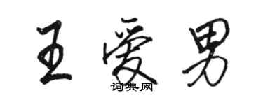 駱恆光王愛男行書個性簽名怎么寫