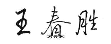 駱恆光王春勝行書個性簽名怎么寫