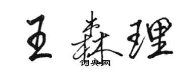 駱恆光王森理行書個性簽名怎么寫