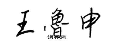 王正良王魯申行書個性簽名怎么寫