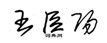 朱錫榮王臣陽草書個性簽名怎么寫