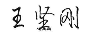 駱恆光王堅剛行書個性簽名怎么寫