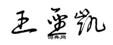 曾慶福王聖凱草書個性簽名怎么寫