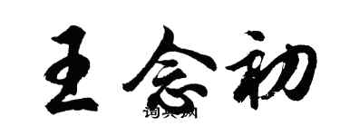 胡問遂王念初行書個性簽名怎么寫