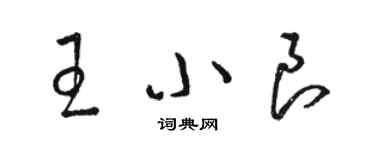 駱恆光王小良草書個性簽名怎么寫