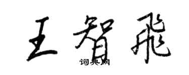 王正良王智飛行書個性簽名怎么寫