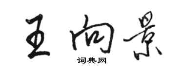 駱恆光王向景行書個性簽名怎么寫