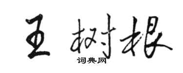 駱恆光王樹根行書個性簽名怎么寫