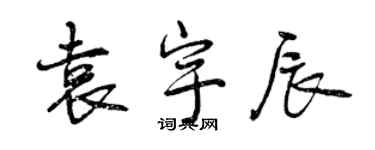 曾慶福袁宇辰行書個性簽名怎么寫