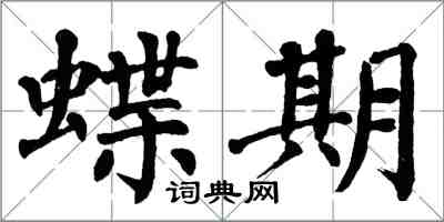 翁闓運蝶期楷書怎么寫