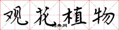 周炳元觀花植物楷書怎么寫