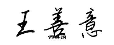 王正良王善意行書個性簽名怎么寫