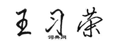 駱恆光王習榮行書個性簽名怎么寫