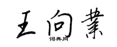 王正良王向業行書個性簽名怎么寫