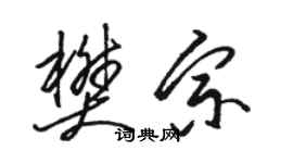 駱恆光樊宗草書個性簽名怎么寫