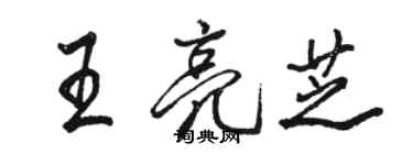 駱恆光王亮芝行書個性簽名怎么寫