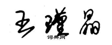 朱錫榮王瑾晶草書個性簽名怎么寫