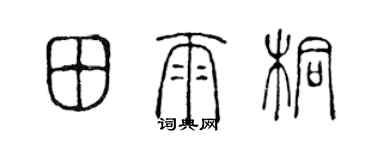 陳聲遠田雨桐篆書個性簽名怎么寫